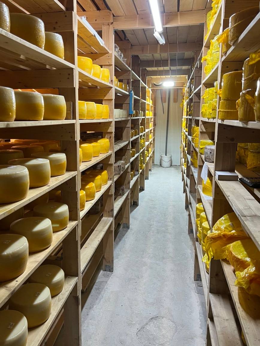 Две тонны сыра уничтожили в Петербурге по требованию Роспотребнадзора