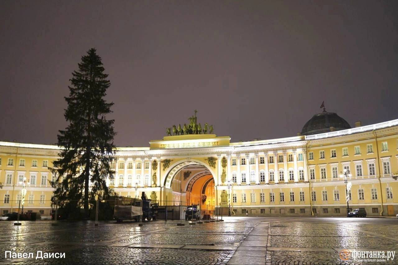 Главная ёлка Петербурга приехала на Дворцовую площадь Главная ёлка Петербурга приехала на Дворцовую площадь