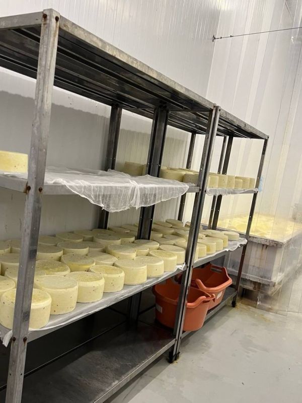 � ���� �������� ����������� ��������� ����� ������� ������� ��������� [ ��� ���������� � ������������ ��� ����������� ]