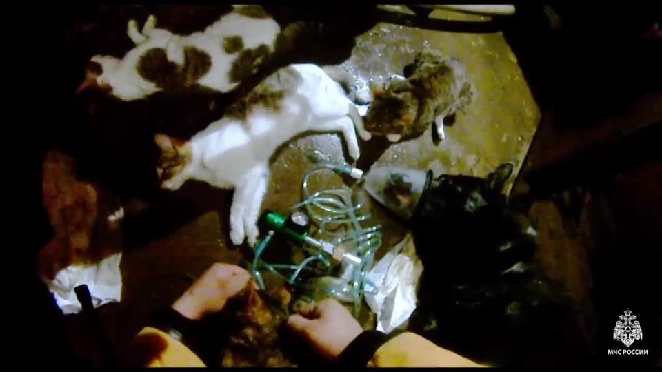 �������� �� ������� ���� ������������ �� �����