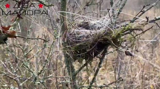 Два майора: Харьковское направление. Бойцы сводного подразделения полка ВКС прислали кадры, которые выбиваются из ежедневных фронтовых будней