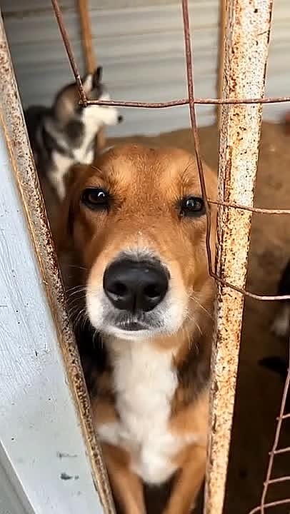 Юрий Баранчик: ПОМОГИТЕ ИМ ПЕРЕЖИТЬ ЗИМУ!