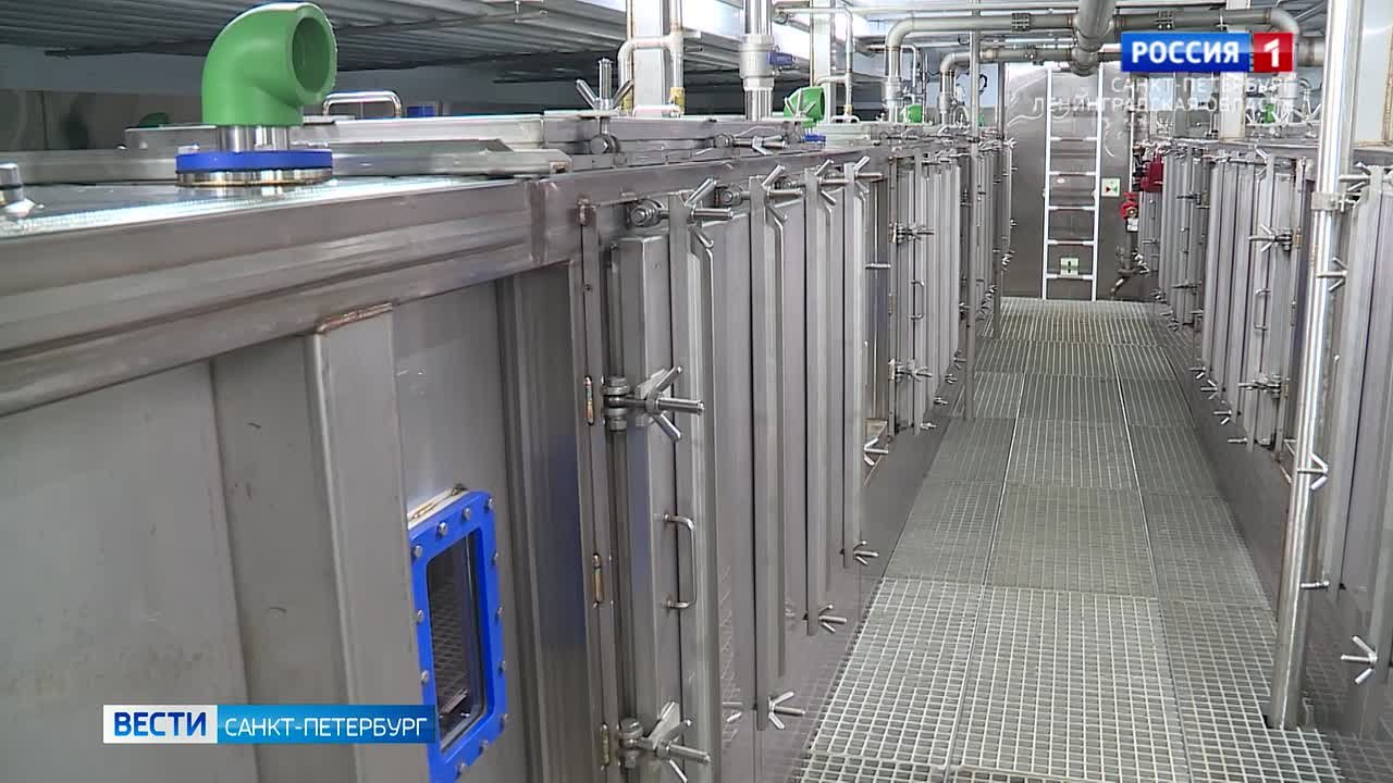 В Петербурге подняли флаг на новейшем судне-краболове "Александр Сапожников"