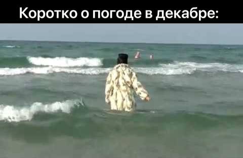 +6…+8 градусов ожидается в Петербурге этим декабрьским днем