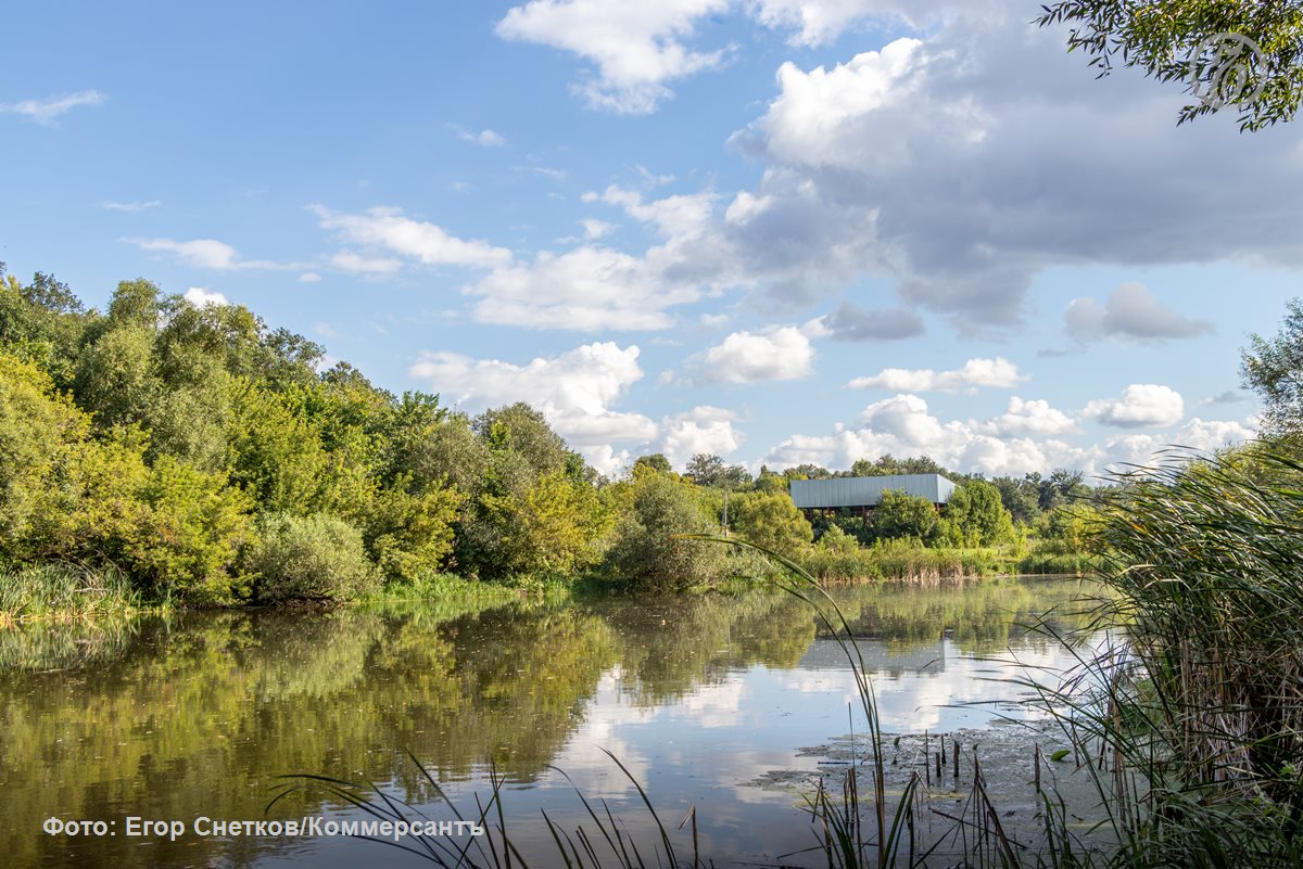 Арендатору земли у озера Круглое в Воронеже отказали в отмене возмещения ущерба