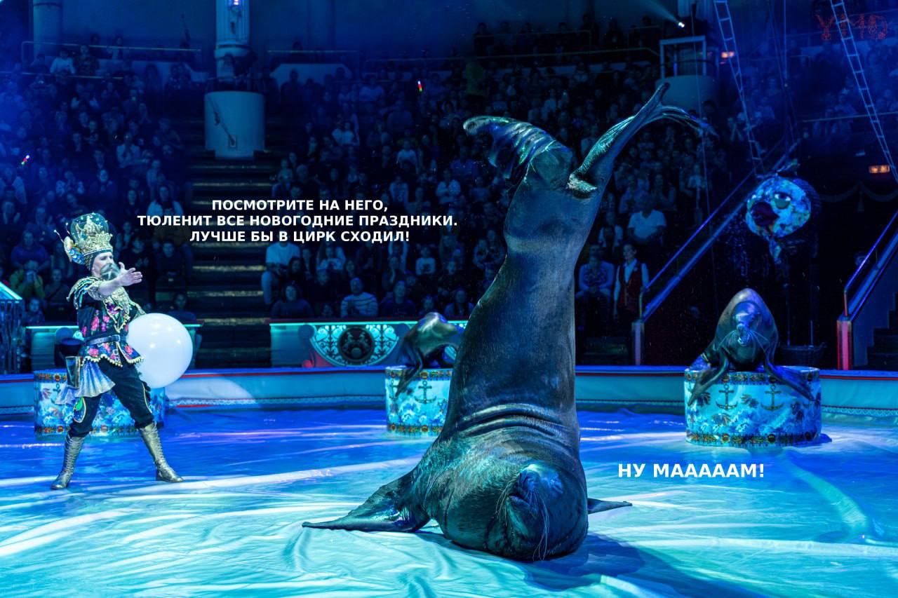 Кто читает «Фонтанку», тот в цирке не смеется