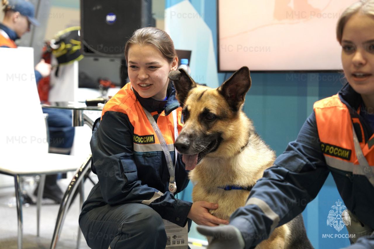 Представители МЧС России приняли участие в юбилейном XV Международном форуме «Арктика: настоящее и будущее» имени Артура Чилингарова Представители МЧС России приняли участие в юбилейном XV Международном форуме «Арктика: настоящее и будущее» имени Артура Чилингарова