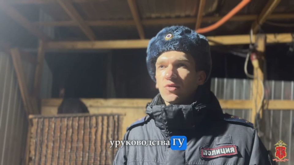 �����������: ������� ��������� 3-��� ������ ���������� �� ��� ������ �� �����-���������� � ������������� �������, ������� ������� ������ �������