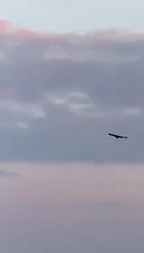 Юлия Витязева: Момент сегодняшнего удара по судну в порту Одессы