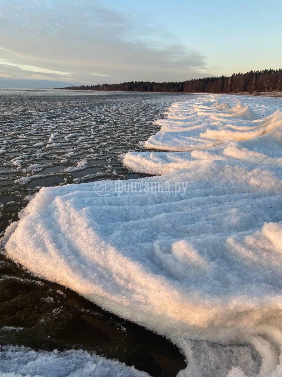 Мороз напек «блинчиков» на глади Финского залива, заметили читатели «Фонтанки» Мороз напек «блинчиков» на глади Финского залива, заметили читатели «Фонтанки»