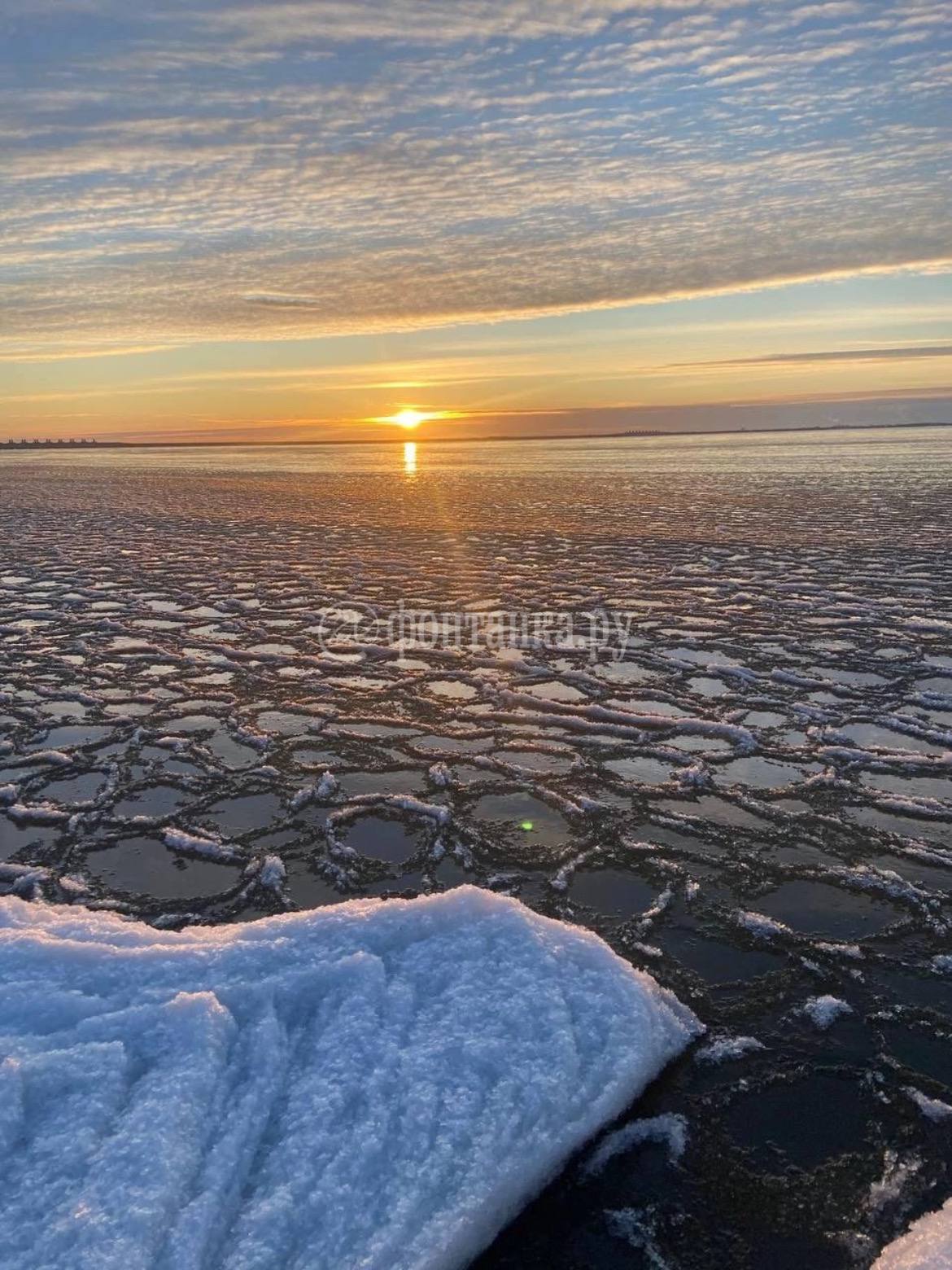 Мороз напек «блинчиков» на глади Финского залива, заметили читатели «Фонтанки» Мороз напек «блинчиков» на глади Финского залива, заметили читатели «Фонтанки»