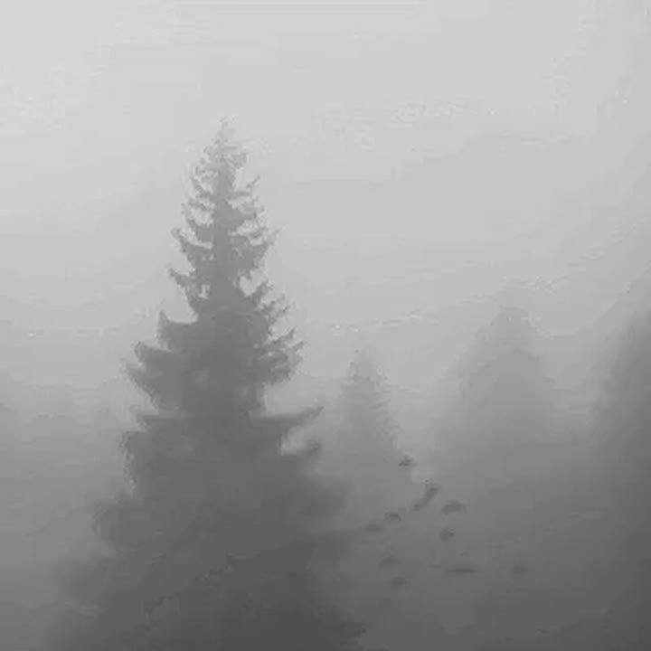 #���_���������� �������������: �� ���������� ���� "������-�������� ����", 14 ������� � ������ � �������� ���� ������� ��������� ����� � ���������� 500 ������ � �����