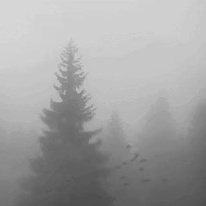 #МЧС_Петербурга предупреждает: по информации ФГБУ "Северо-Западное УГМС", 14 декабря в ночные и утренние часы местами ожидается туман с видимостью 500 метров и менее