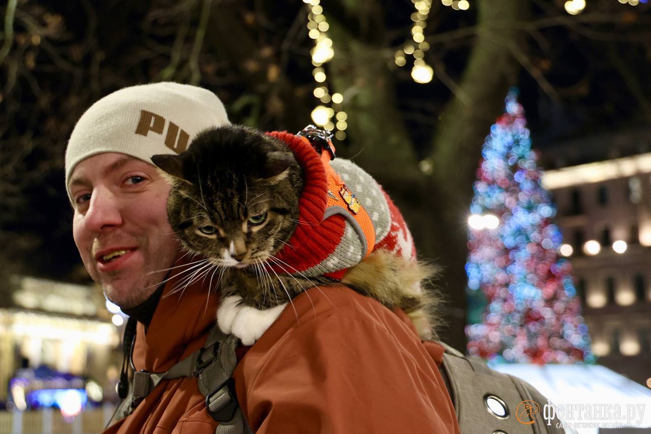 Рождественские ярмарки заработали в Петербурге Рождественские ярмарки заработали в Петербурге