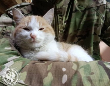 Два майора: Рубрика «Будни солдата»