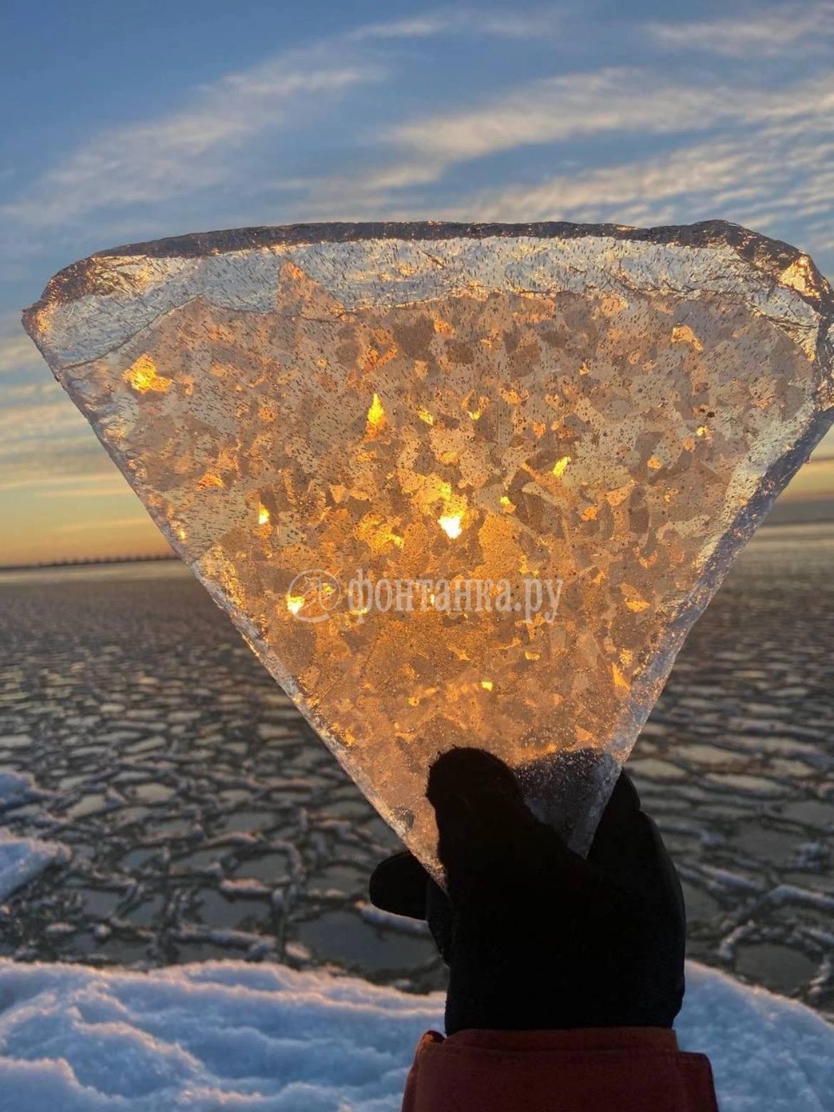 Мороз напек «блинчиков» на глади Финского залива, заметили читатели «Фонтанки» Мороз напек «блинчиков» на глади Финского залива, заметили читатели «Фонтанки»