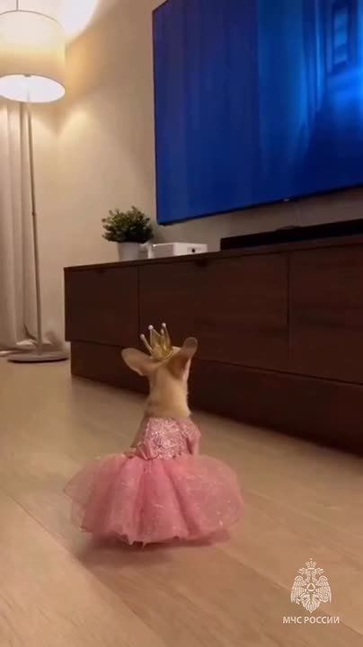 #���_���������� �������������: �� ���������� ���� "������-�������� ����", 15 ������� � �����-���������� ��������� ������ � ���� �����, ������� �����, �����, �� ������� ����������