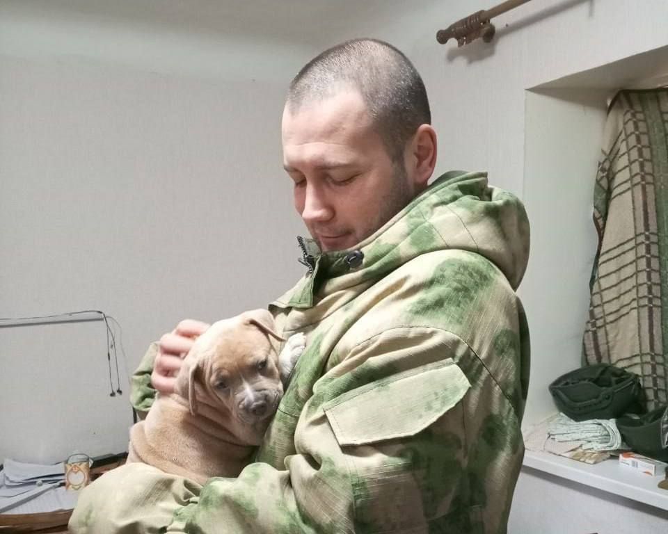 ���������� ��������: ���� �����. ��� ����� � ���������, �������� "����"