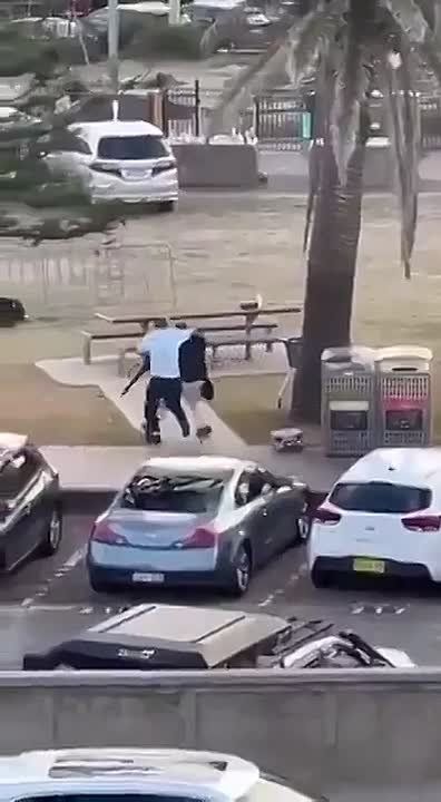 ���� ��������: �������, �����! ������ ��������! ����, �� ����� ������� ������ �� ����������