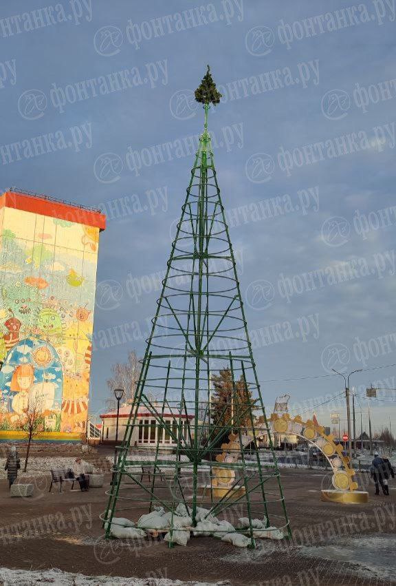 Представьте, какие коты в Гатчине, если только так можно сберечь елку