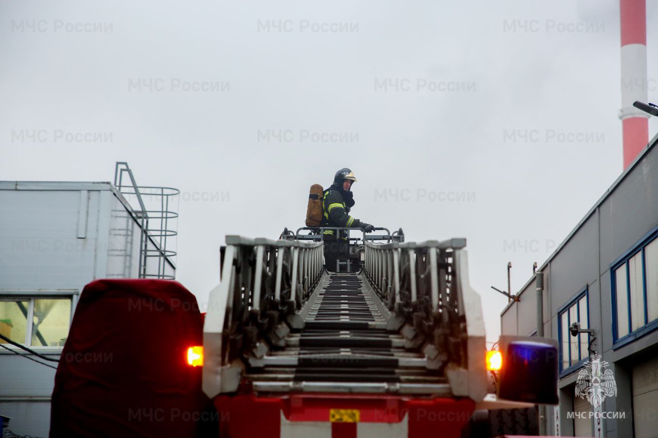 Петрович, мы горим!. На территории торгового дома "Петрович" прошли учения #петербургскихспасателей Петрович, мы горим!. На территории торгового дома "Петрович" прошли учения #петербургскихспасателей