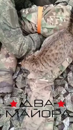 "Занятия по тактической медицине"