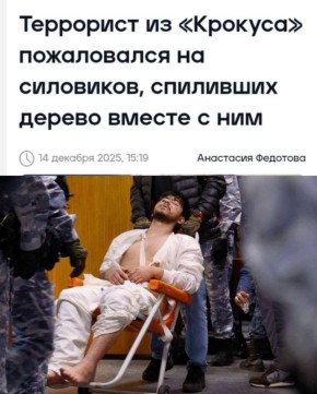 Дмитрий Стешин: И выдайте ему талоны на повидло: