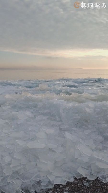 ������ ���������� ����� � �� �������� ���: �������, ������ ������, ������������ ���������