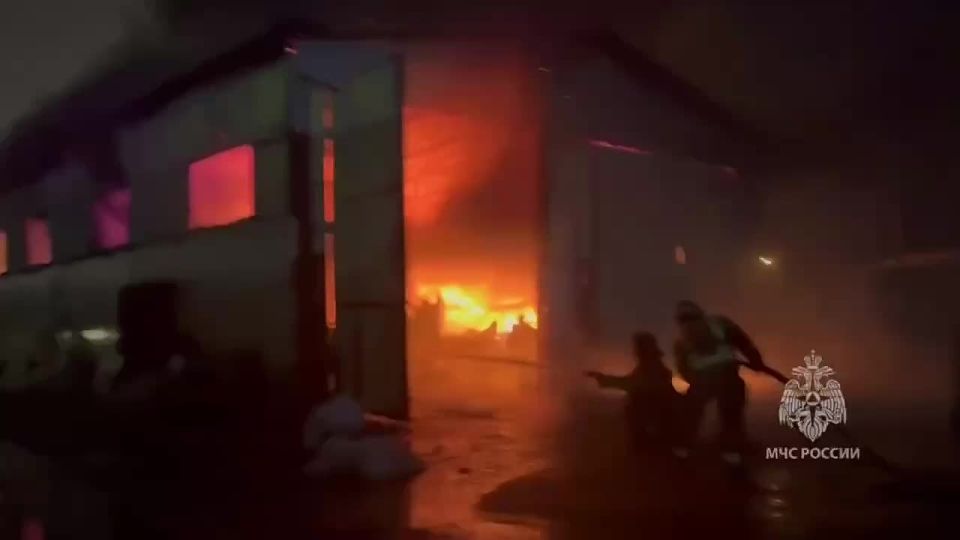 � ������� �������� ������ ����� �������� �����