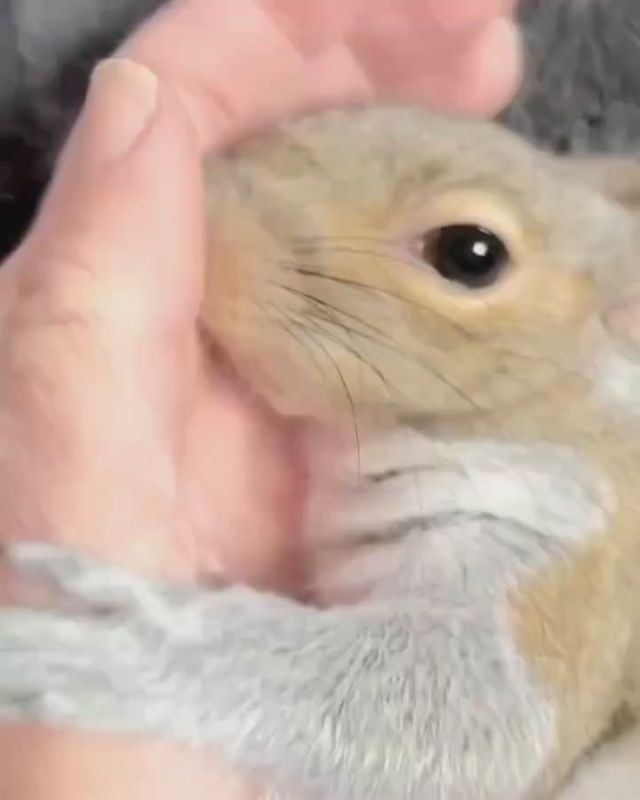 ��������� ����, ������!. ������