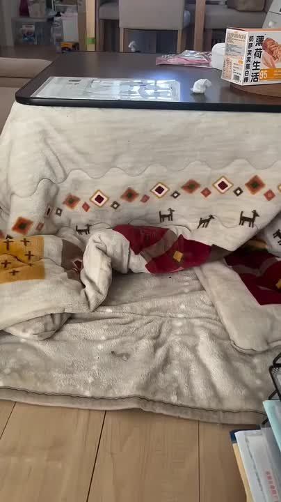 ������ ����������: ����, ��� ������� - ������ ����!