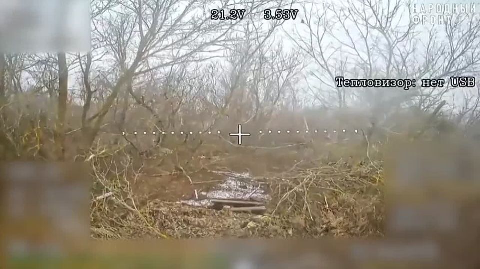 ���� ����� �� ������ ������ �� ��������� ����� �� �����