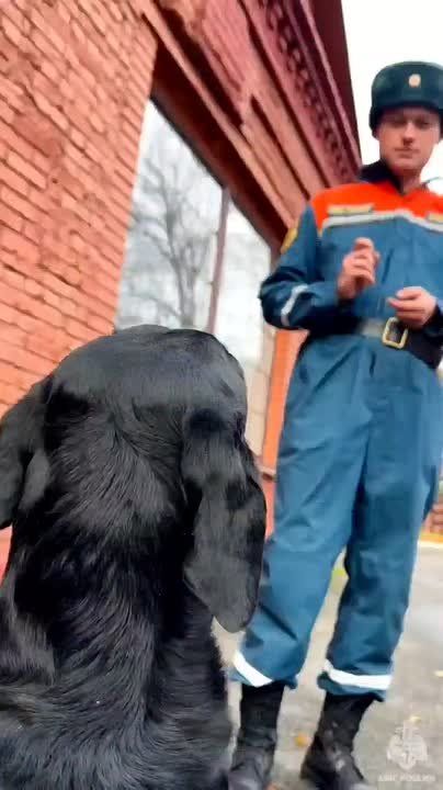 ������� ���� � ������ �������� �� ��� ����������� ������ ������ ��� #����������������������