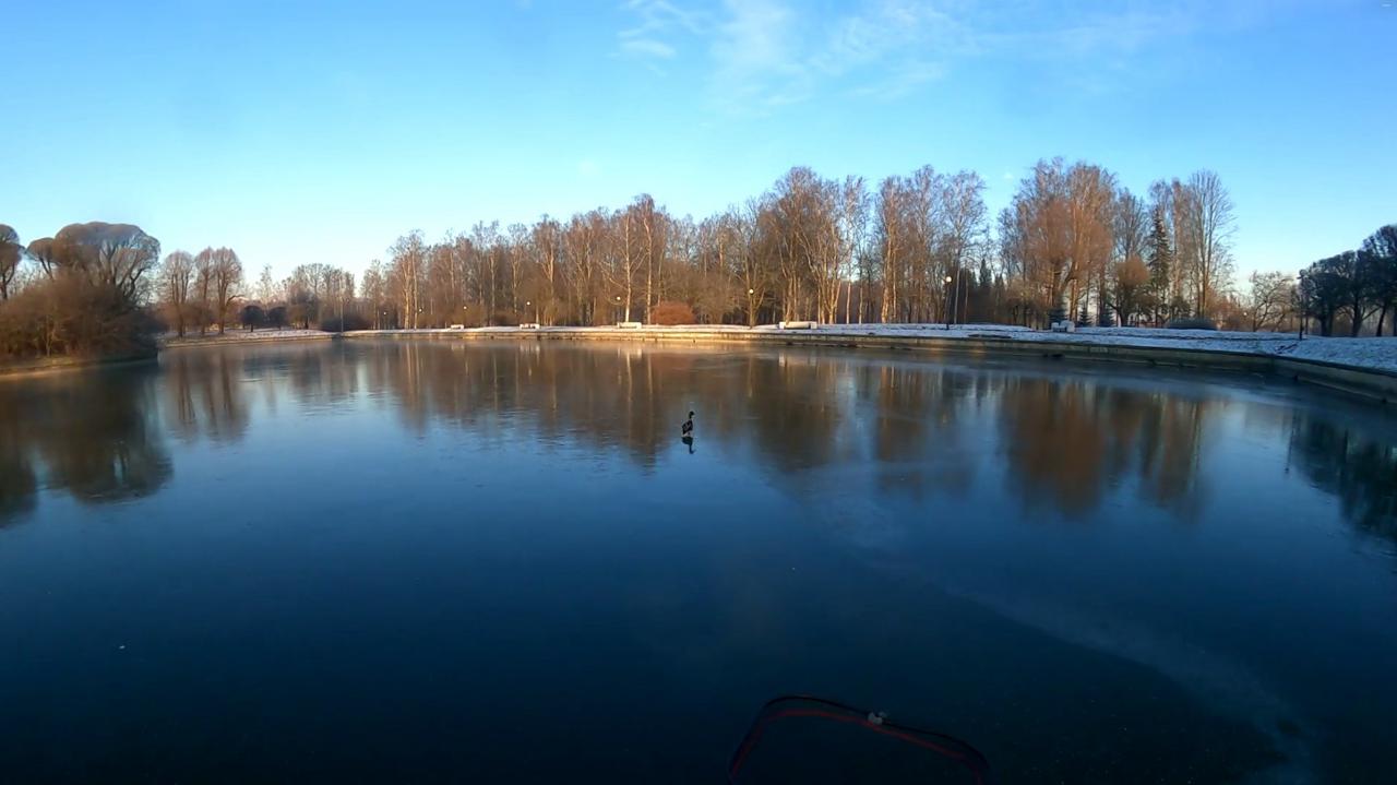 В выходные сотрудники «Кошкиспаса» помогли шести уткам в Петербурге и Ленобласти В выходные сотрудники «Кошкиспаса» помогли шести уткам в Петербурге и Ленобласти