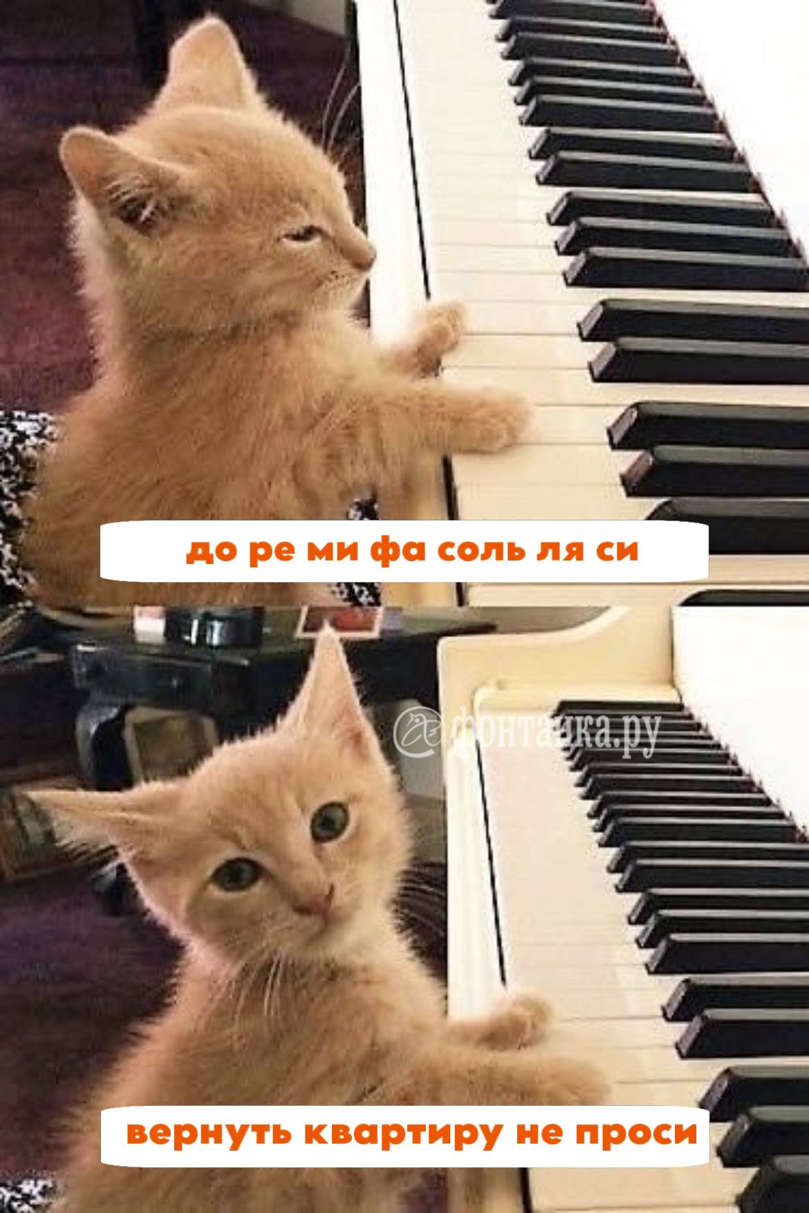 Лариса Долина просила Полину Лурье оставить ей пианино и стул к нему после продажи квартиры в Хамовниках, заявила адвокат Лурье Светлана Свириденко