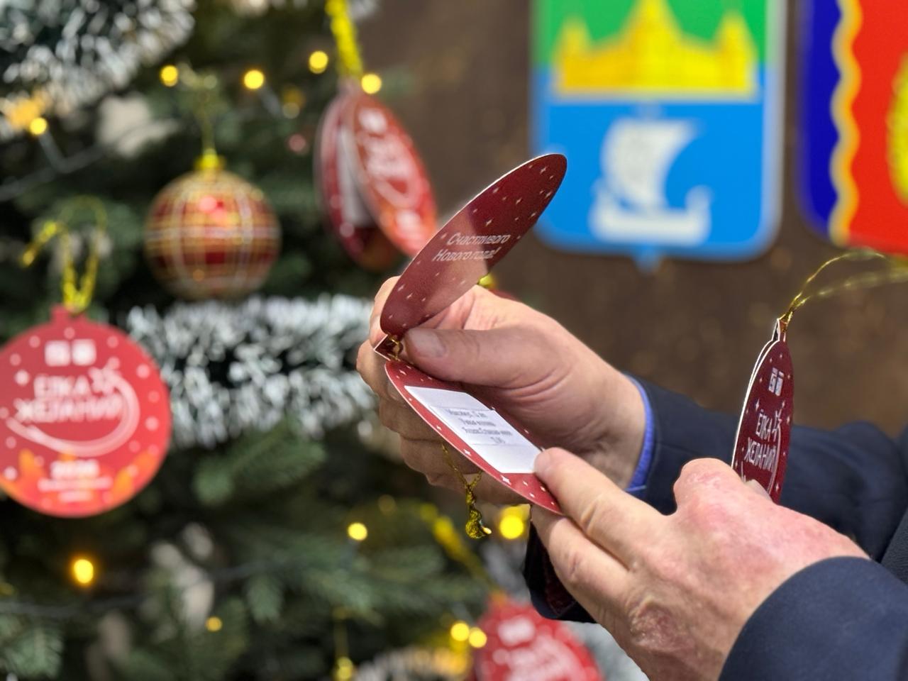 Во Всеволожском районе стартовала «Елка желаний» Во Всеволожском районе стартовала «Елка желаний»