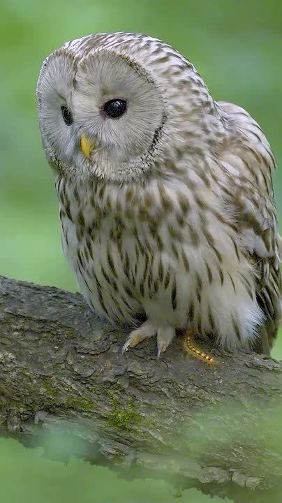 ����� � ���� ���� ����������� ��������� �������� ����������� ���������� �������������� �������