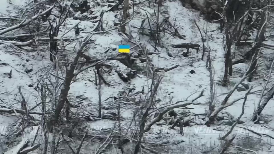 ��������� ���� 38 ����������� �������������� ������� 35 ����� ����������� "������" ������� ������ ��������� �� ������� ������ � ������ �.�. ���������