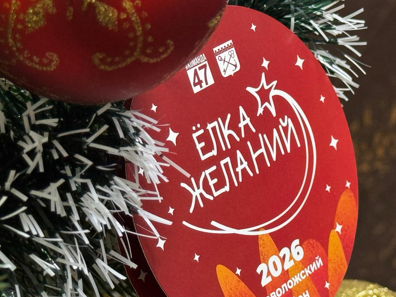 Во Всеволожском районе стартовала «Елка желаний»