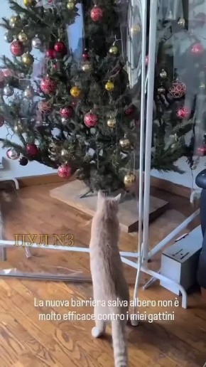 Михаил Онуфриенко: Вижу цель, не вижу препятствий