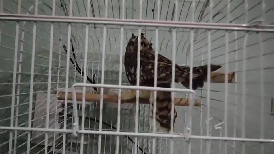 ������� ���� � ����.. ��� ������