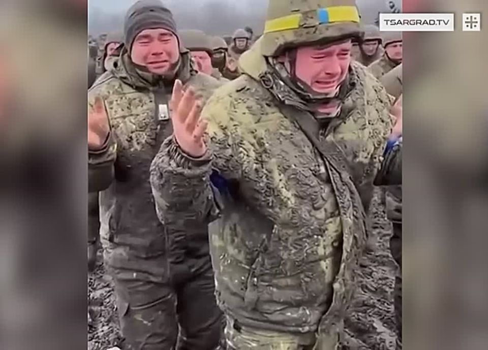 �������, �� �����������. ��������.�� � �� ������ �������� ������ | ���������