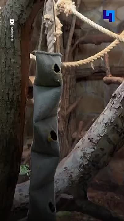 �������� ������ �������� ������ ����� � ������������� ��������