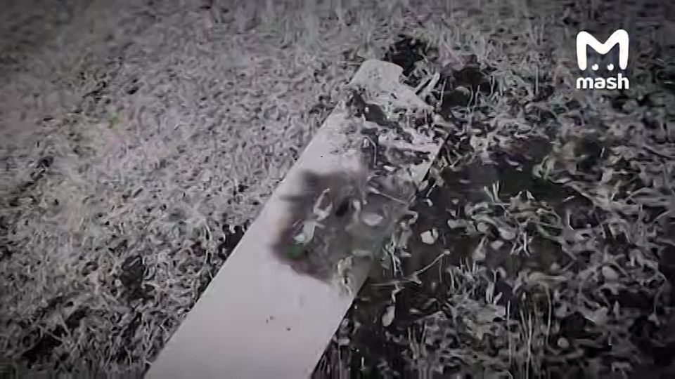 ����� "���������" � ������ ����� �� ����� ���������� �� ��������� ��� ������ ��������� ��� ����� 500 ��������� ������ � ������� ������ �������