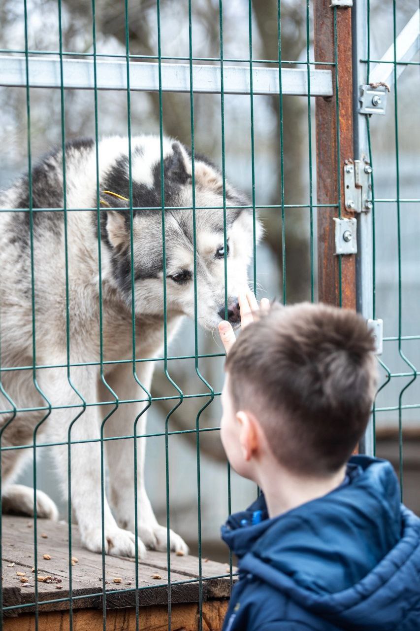 Юрий Баранчик: Если вы верите в добро – этот пост для вас Юрий Баранчик: Если вы верите в добро – этот пост для вас