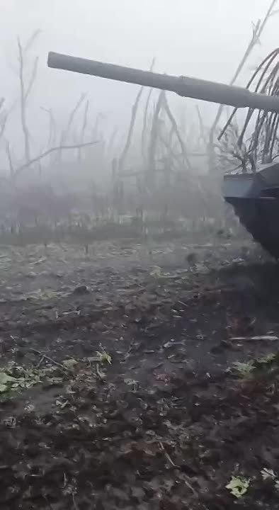 ��������� �������� ��������������� ������������ ������� �� ��