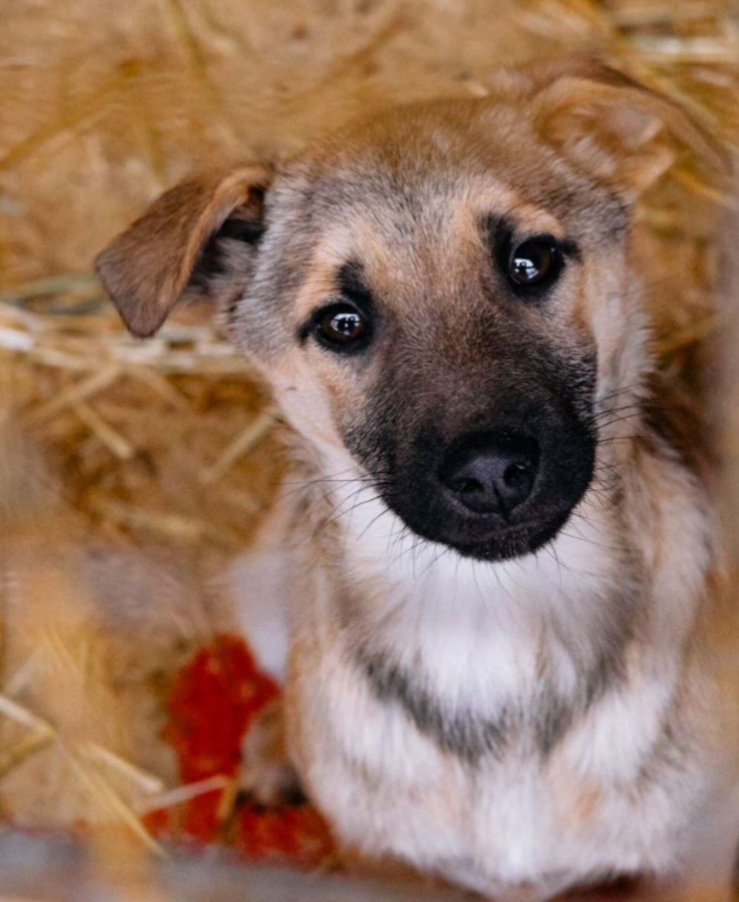 Юрий Баранчик: Если вы верите в добро – этот пост для вас Юрий Баранчик: Если вы верите в добро – этот пост для вас