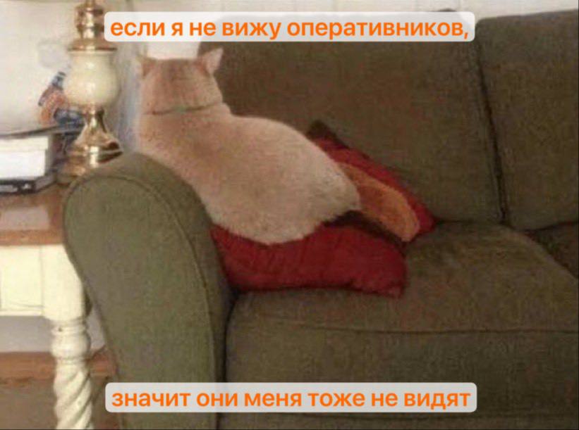 Петербурженка пряталась от правосудия в диване