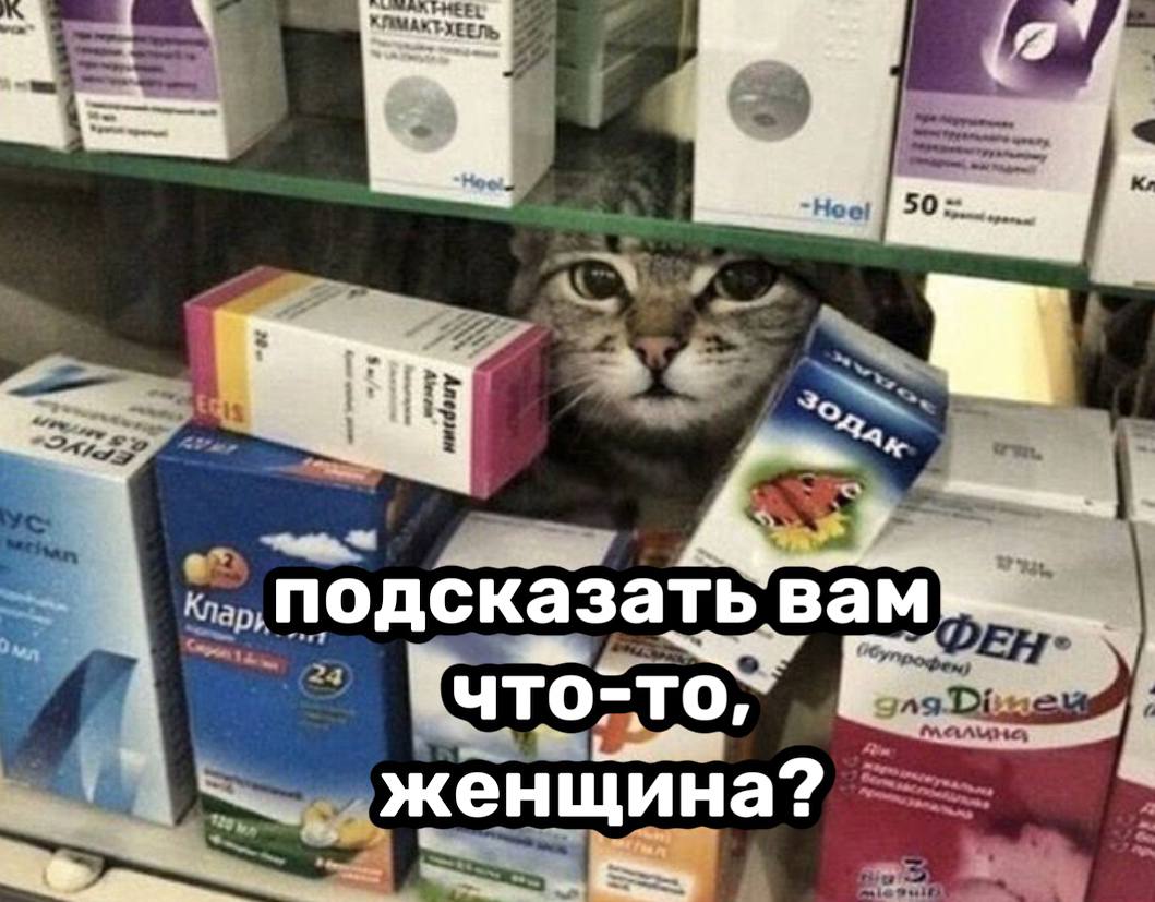 В Госдуме предложили федеральный эксперимент для сёл — передвижные аптеки