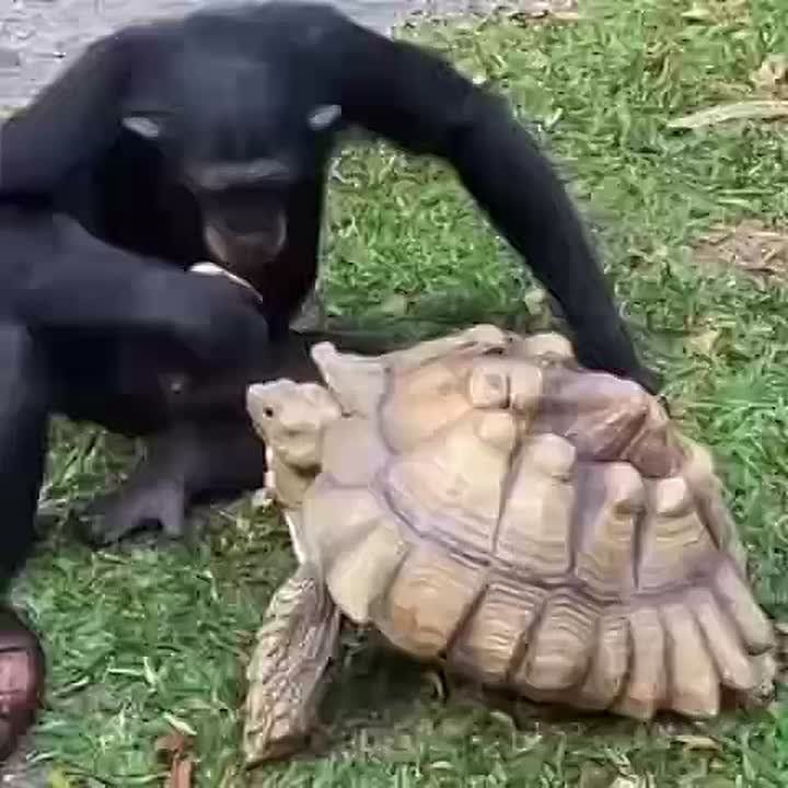 ����� �������� �����, ��� ��� ����� ��������! �����, ��������, ����� ������� ������ �� ��� ��������